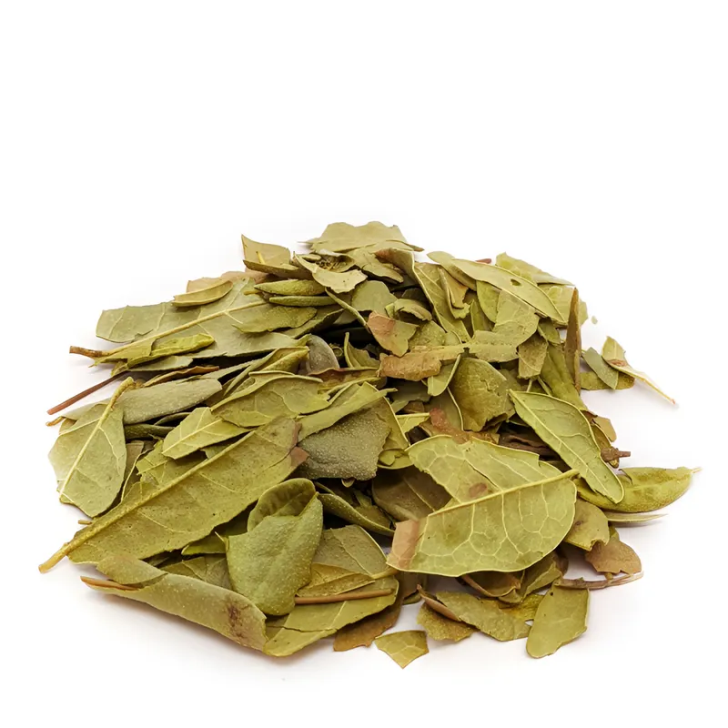 Boldo em Folha a Granel — GRANEL