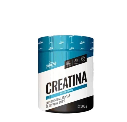 SYNTHE SIZE CREATINA 300G